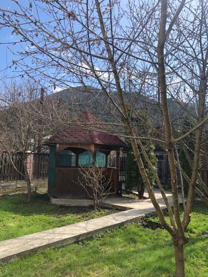 Садиба Диво Квітка Tatariv Exterior foto